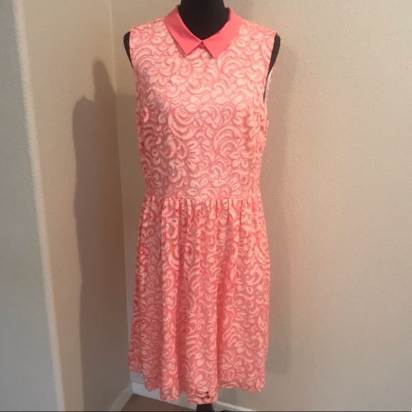 Betsey Johnson Lace Peter Pan Collar Dress - 14 - Picture 1 of 7
